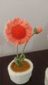 Crochet Daisy Flower Mini Pot   /Crochet Flowers. 