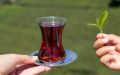 12 Pcs Tea Set Glass Cup Unique Design best quality. 