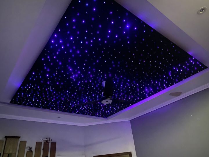 Fiber Optic Light