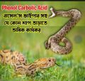 PHENOL, Carbolic Acid for Snake Repellent. 