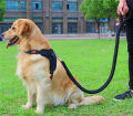 Big Pet Dedicated Dog Leash And Collar Strands Plaited Rope Dogs Collars Leashes Chain Strong For Large Dogs Animals. 