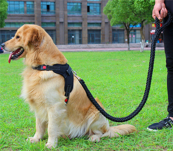 Big Pet Dedicated Dog Leash And Collar Strands Plaited Rope Dogs Collars Leashes Chain Strong For Large Dogs Animals