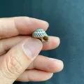10g mini black line Tower conch shell Gao Yao Che Lun. 