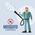 Mosquito Fogging / Dengue Control / Mosquito Control For Exterior Area Of House. 