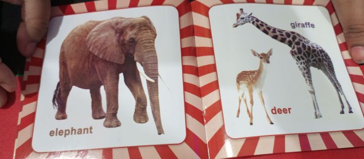 Preschool%20books%20for%20your%20Kids%20With%20a%20Surprise%20Gift%20-high%20quality%20Paper-%20Pack%20of%207-Basic%20English%20Learning%20books%20set%20-%20Image%204