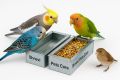 Stainless Steel Small Bird & Poultry Feeder – 5" x 2.5" x 2". 