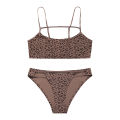 Hot Sale New Design 2 Piece Leopard Ice Silk Bralette Wireless Fitness Tracelss Bra Brief Seamless Bra And Panty Set For Women.
