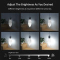 Tuya Smart WiFi LED Bulb E14 Candel Light 5W 7W 9W 220V With RF 2.4G Remote Tuya Smart Life APP Voice Control Alexa Google Home.