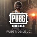 PUBG Mobile 7 +🎁UC - Pakistan Region. 
