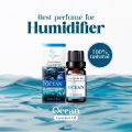 10ml Essential Oil for Humidifier Best Cool Fragrance for Home Freshness. 