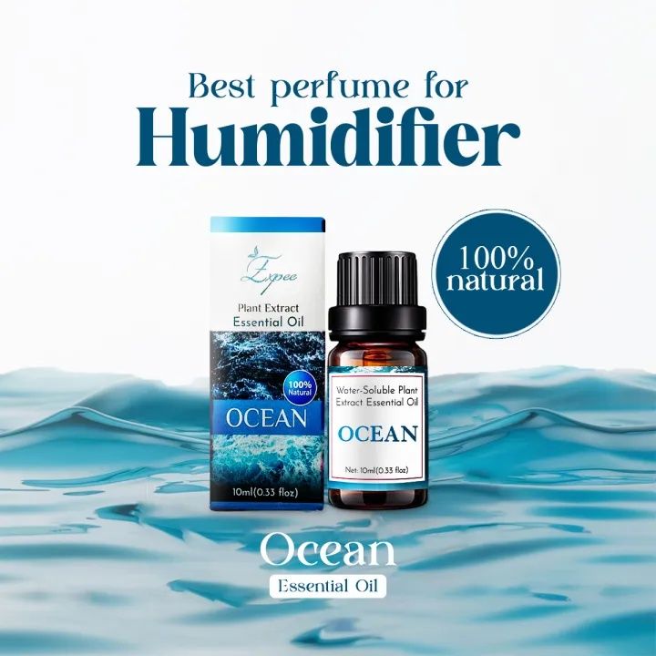 10ml%20Essential%20Oil%20for%20Humidifier%20Best%20Cool%20Fragrance%20for%20Home%20Freshness%20-%20Image%202