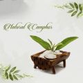 Camphor Powder ( Kafoor ) 100 grams 100% Original - Kafor - Kafore - Nashpati Organics. 
