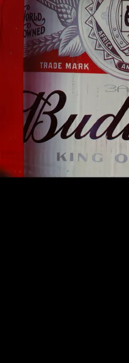 Budweiser%2024*330Ml%20King%20Of%20Beers%20Alc%205%25%20-%20Image%203