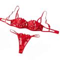 Floral Embroidery  Lingerie Set Women Transparent Bralette Underwire Push Up Bra Panty 2 Piece Set. 
