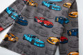 Kids Pajama Set 100% Cotton Soft Car Full Print Loungewear Nightwear Long Sleeve Pjs for Toddler Boys Girls Age 1-8 Years. 