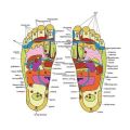 Magnetic Therapy Accu Paduka Slippers for Full Body Blood Circulation Natural Slippers For Men and Women (Unisex). 