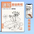 Beginner Sketching Fundamentals Tutorial Book - Zero Foundation Pencil Drawing Album for Art Learners Copying Textbook. 