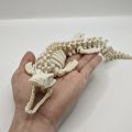 1 Piece Realistic Mosasaurus Skeleton Replica Aquarium Decoration Large Dinosaur Skeleton Model with White Fins and Tail for Fish Tank Decoration Marine Reptile Display Paleontology Themed  Suitable for Collectors and Aquarium Enthusiasts (for Fish). 