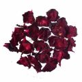 Rose petel dry 250gm(premium quality of A&AA store). 