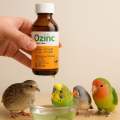 Ozinc Liquid - Organic Zinc Supplement for Livestock & Poultry (100ml). 