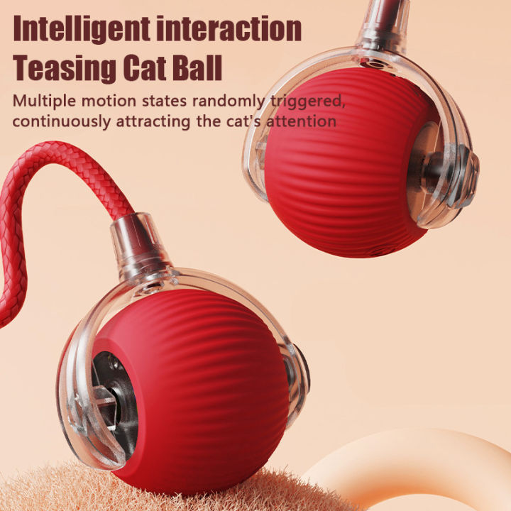 1PC%20Smart%20Cat%20Toys%20Automatic%20Rolling%20Ball%20Fake%20Tail%20Rechargeable%20Electric%20Pet%20Interactive%20Toy%20Cat%20Training%20Imitate%20Mouse%20Tail%201P%20-%20Image%202