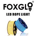 led rope light. 