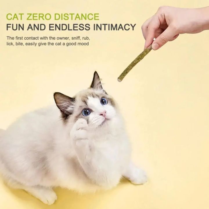 1PCS%20Cat%20Chew%20Toys%20Natural%20Silver%20Vine%20Catnip%20Toy%20Sticks%20Cat%20Teething%20Self-High%20Toys%20Teething%20Sticks%20Pet%20Supplies%20-%20Image%203