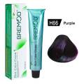 BREMOD Professional Hair Colour Tubes All Shades Available -100ML. 