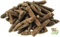 Filfil Daraz / Maggaan / Pippli / Long Pepper Pack of 50Grams. 