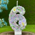 2025 New 0-9 Digits DIY Birthday Candles Butterfly Flowers Children's Birthday Girls Number Cake Decorations Candle Room Decor. 
