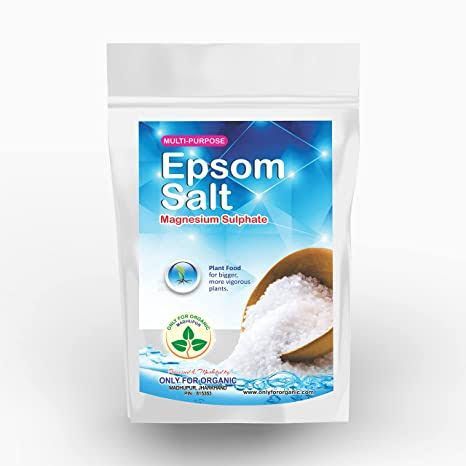 ORGANIC Epsom Salt 100Gm
