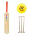 Bat Ball Plastic | PREMIUM SPORTS Kids Cricket Set - 1 x Plastic Bat.... 