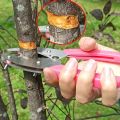 Grafting Cutting Tool Shears For Garden Ring Shape Grafting Cutter Fruit Tree Peeler Bark Stripping Cutting Stainless Steel Gard. 