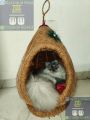 Cat house for persian and deshi cat(large size cat home). 