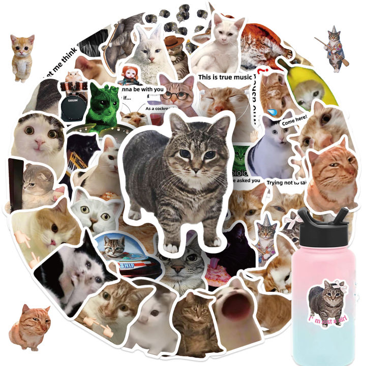50pcs Cat Memes Collection Stickers Waterproof Vinyl Decals for Laptops ...