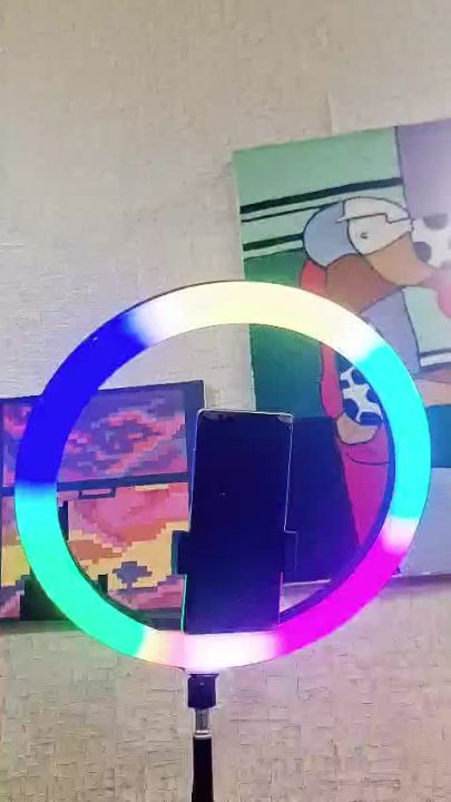 26 cm Ring Light + 7ft Tripod Stand for tiktok and youtube videos - Tiktok Ring light With Stand