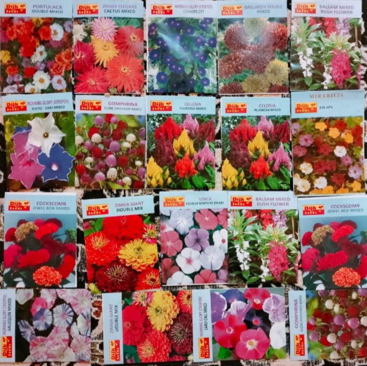 Pack of 10 summer seasonal random flower seeds for colourful roses plants for garden making