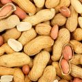 mung phali with nut |fresh peanut. 