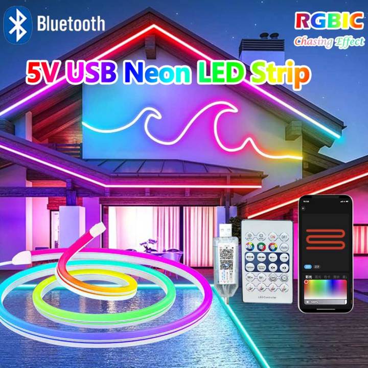 Neon Led Strip Light 5V RGBIC Neon Strip Lights 1M 2M 3M 5M Waterproof Flex Ribbon Led Tape for Room Wall Decor Music Sync