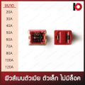 (1) small female main fuse, no female fusion lock, 20A, 30A, 40A, 50A, 60A, 70A, 80A, 100A, 120A AF-J code. 