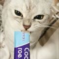 100% Best, 15gm Snacks Bar for Kittens and Cats with High Nutrition ( Cat Food ). 