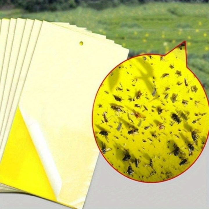 20pcs%20Strong%20Fruit%20Fly%20Traps%20Bugs%20Yellow%20Sticky%20Board%20Pest%20Control%20Insect%20Killer%20Two-sided%20Glue%20Paper%20Trap%20For%20Kill%20Pests%20-%20Image%205