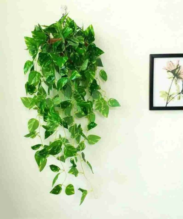 Enhance%20Your%20Space:%207.5%20Feet%20Long%20Artificial%20Money%20Plant%20Leaf%20Bail%20Garland%20for%20Home,%20Office,%20and%20Room%20Decoration%20-%20Image%206