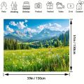 Spring scenery, green grassland, pine trees, forest background, photography, camping, adventure, party background, banner. 