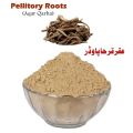 Aqar Qarha Powder (Pellitory Root / Akarkara) - Unani Nervine Tonic, Aphrodisiac & Dental Care Powder. 