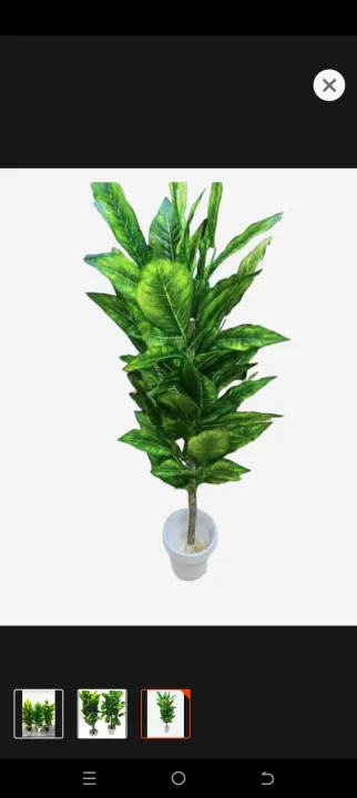 1%20pc%203%20feet%20floor%20plant%20with%20pot%20for%20your%20home%20decor%20-%20Image%203