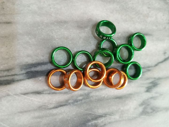 Stainless Steel RAW Parrots Leg Rings Colorful (1pc)