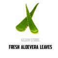 Fresh Aloe Vera Leaves pack of 5 Leaves. 