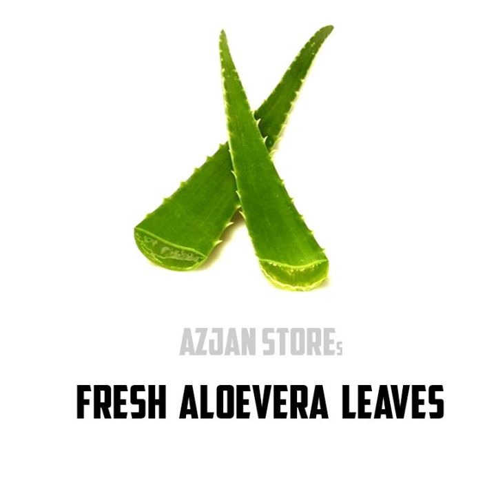 Fresh Aloe Vera Leaves pack of 5 Leaves