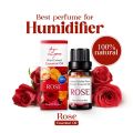 10ml Essential Oil for Humidifier Best Cool Fragrance for Home Freshness. 